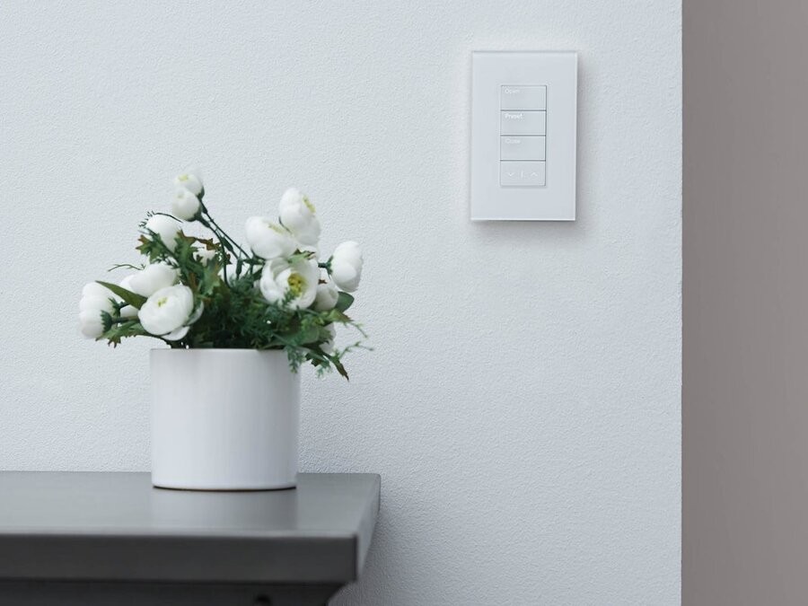 A Lutron lighting and shading panel on the wall with a plant on a table below it.